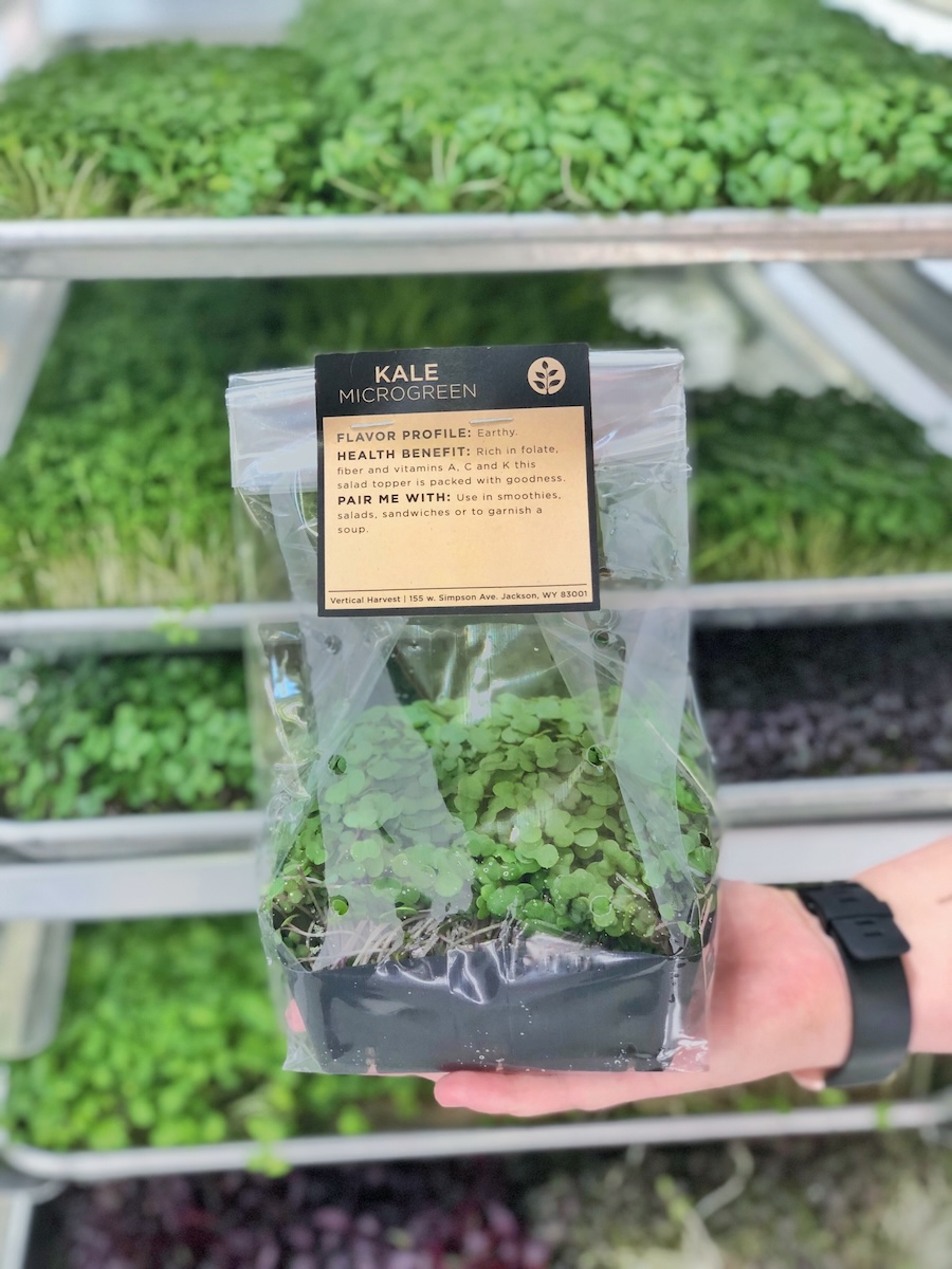 Microgreens from Vertical Harvest