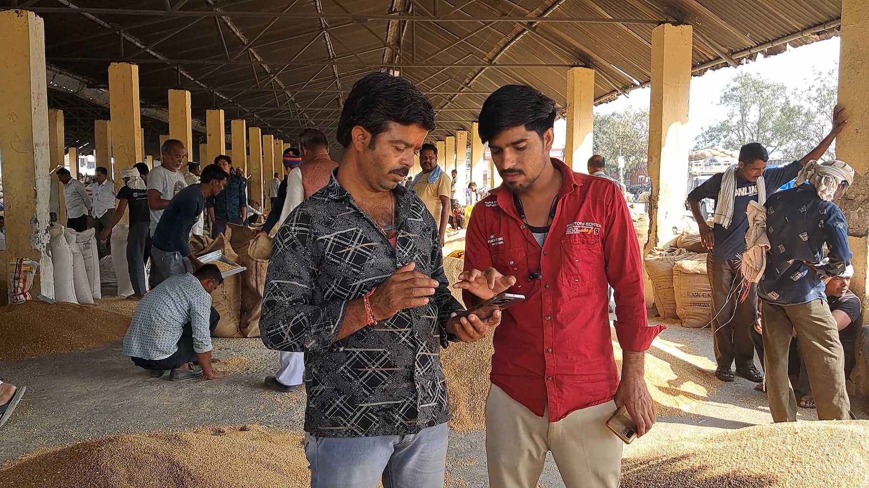 farmers in india use gramhal chatbot to view market data for crops