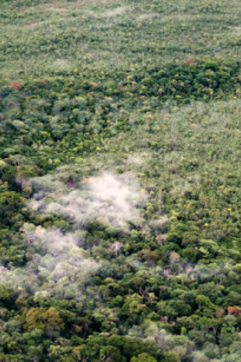 A-conservation-area-in-Amazonas-state-Brazil-that-Greenpeace-says-is-under-threat.png A-conservation-area-in-Amazonas-state-Brazil-that-Greenpeace-says-is-under-threat.png