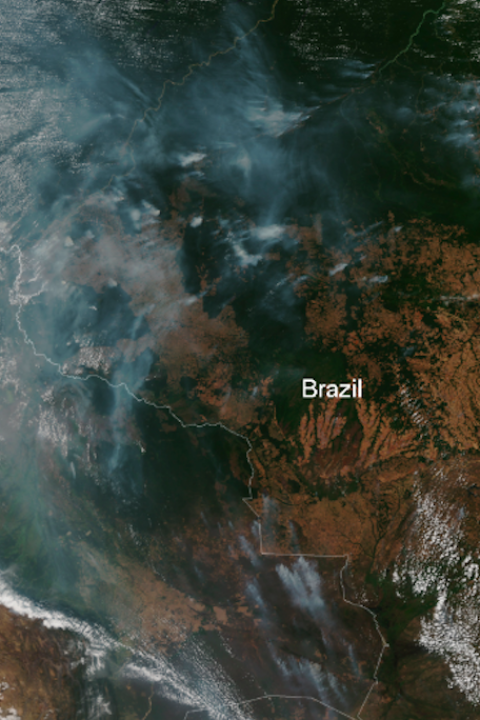 Amazon Fires