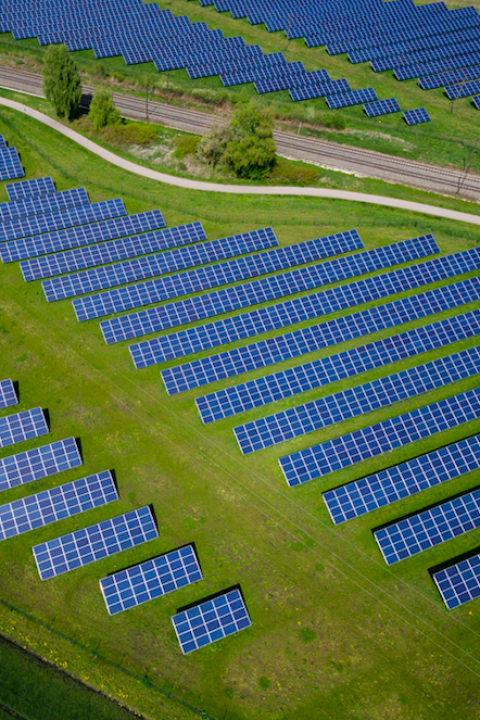 Climate Action
