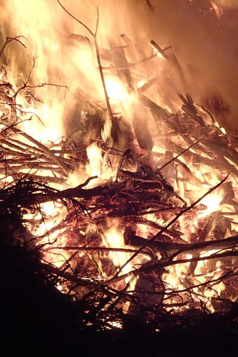 Amazon Fires