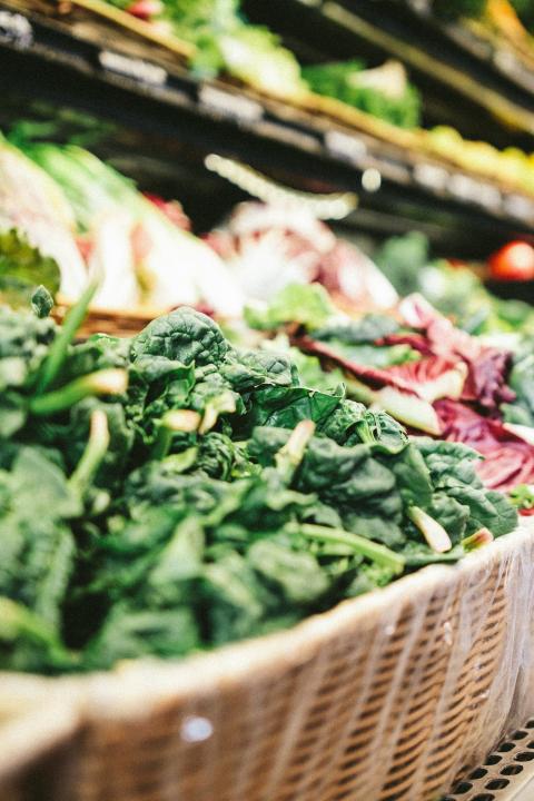 food traceability