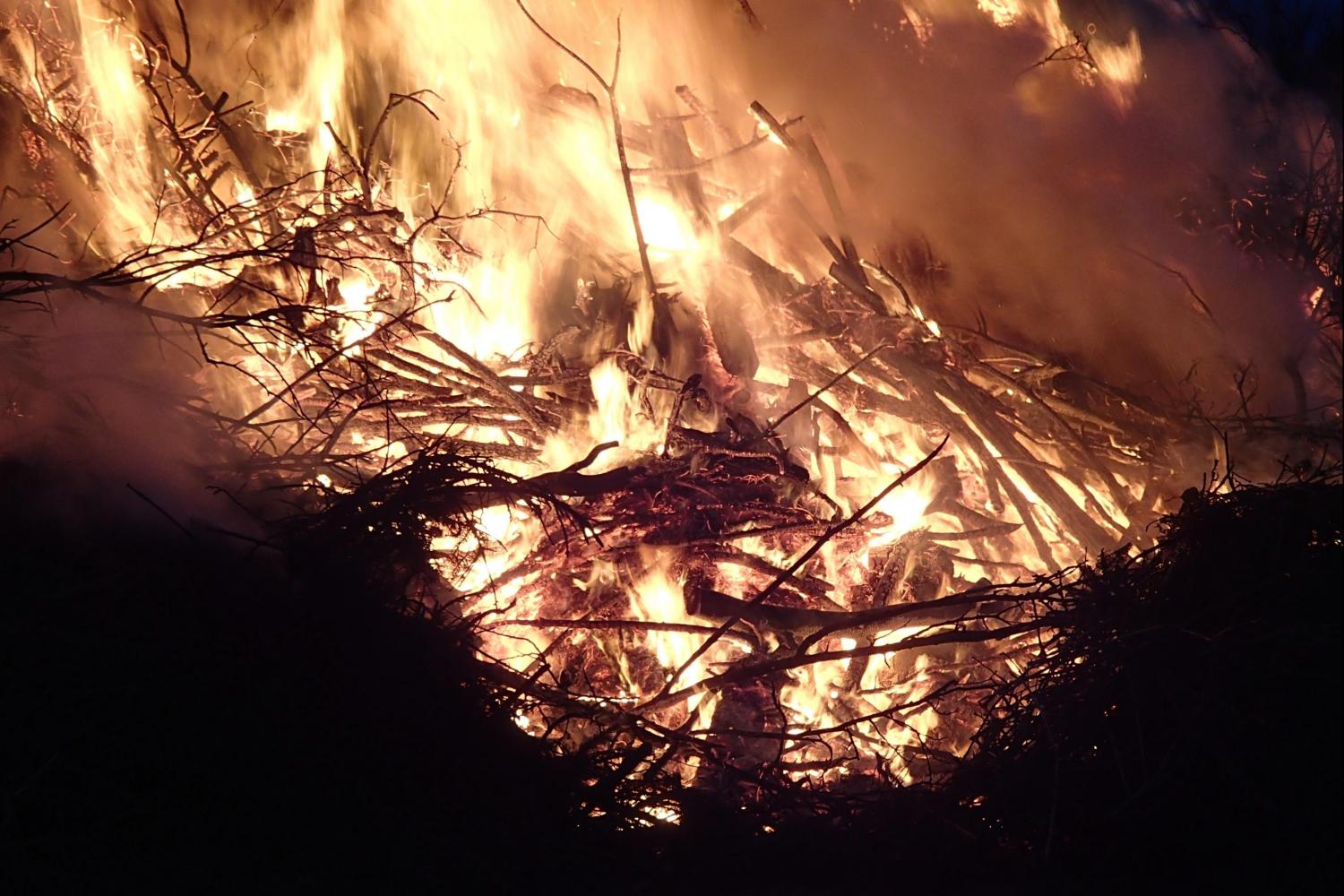 Amazon Fires