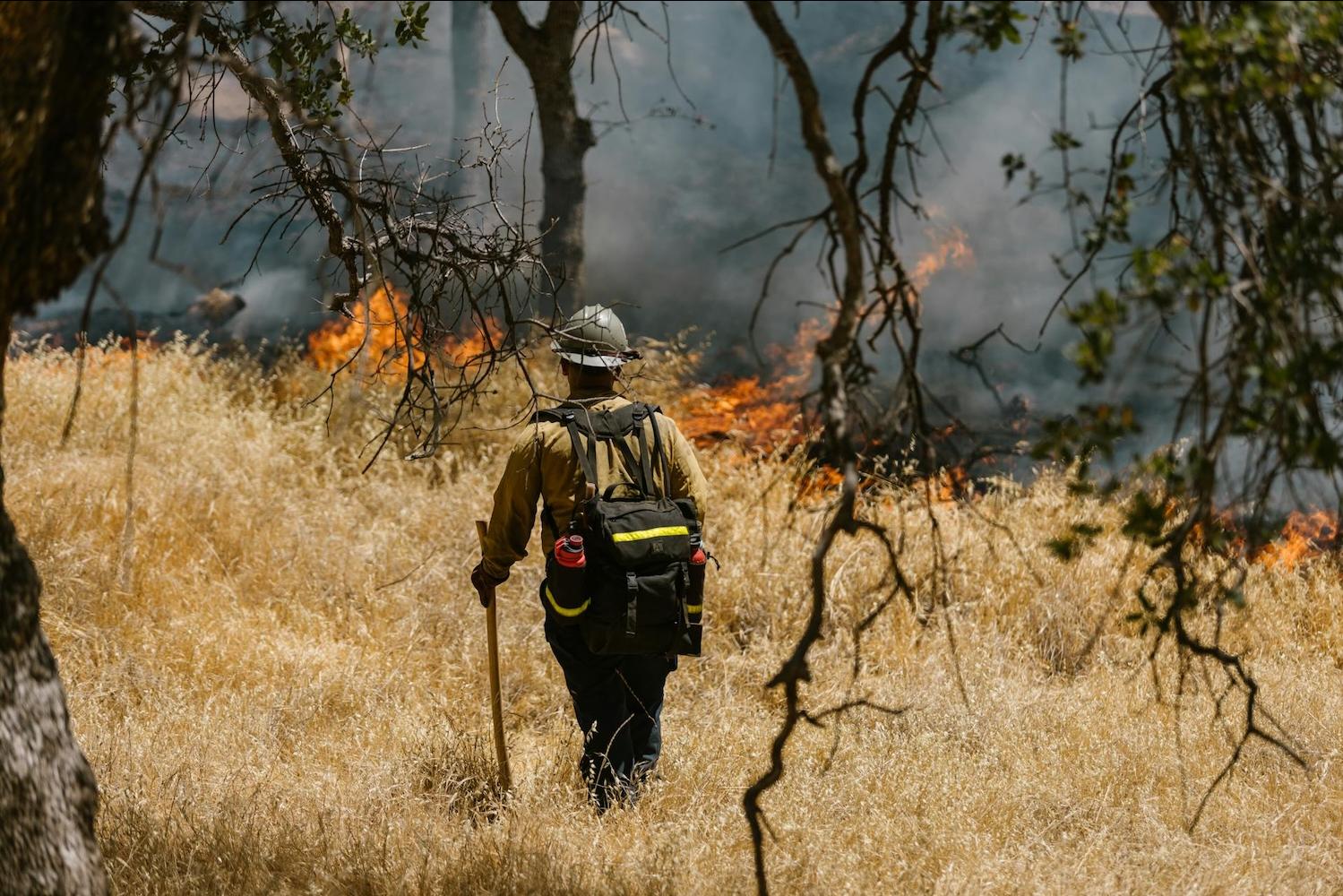 fireman fighting wildfires