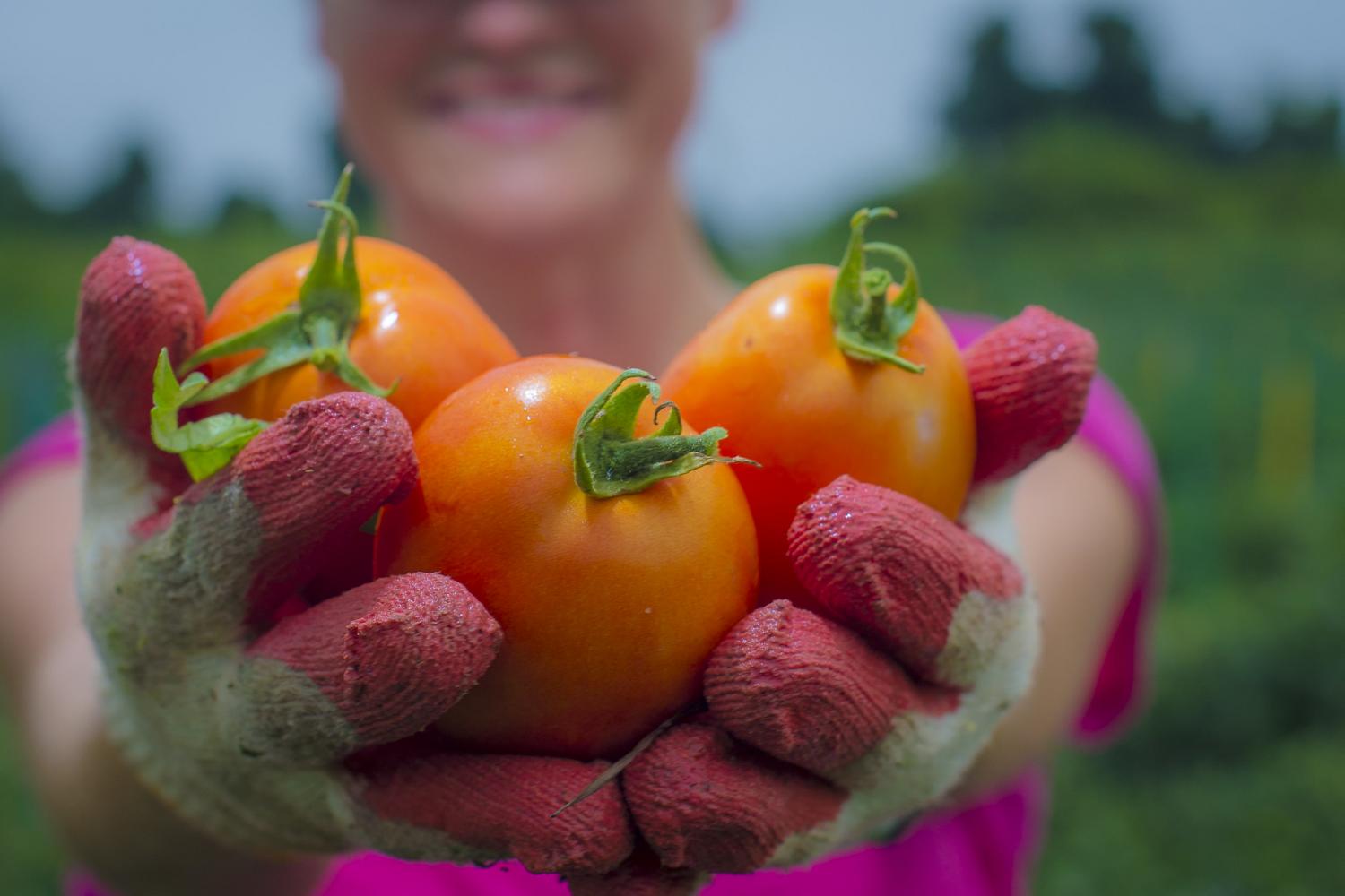 improve food security