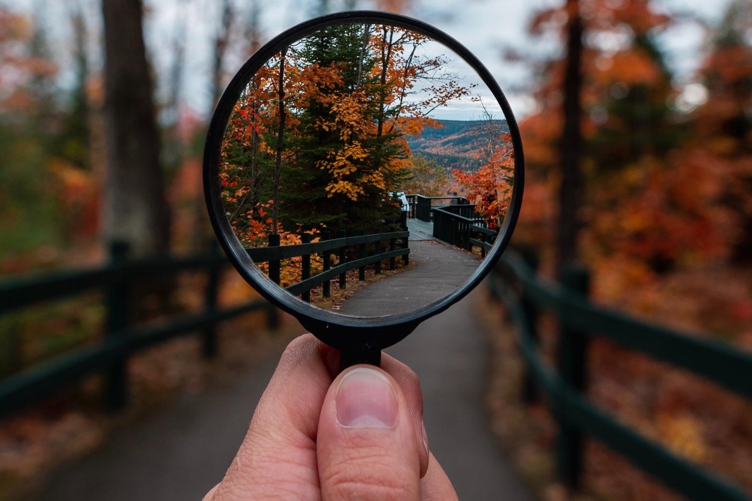 magnifying glass