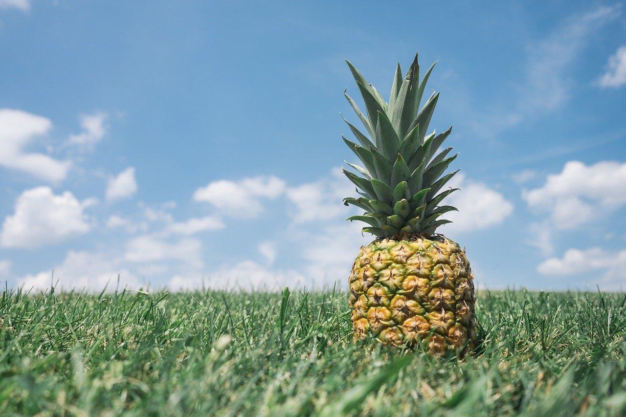 pineapple-867245_1280.jpg