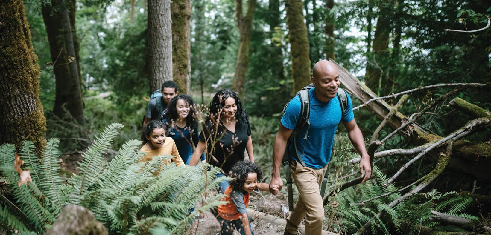 Family hiking in the woods - Northwestern Mutual Sustainability Report