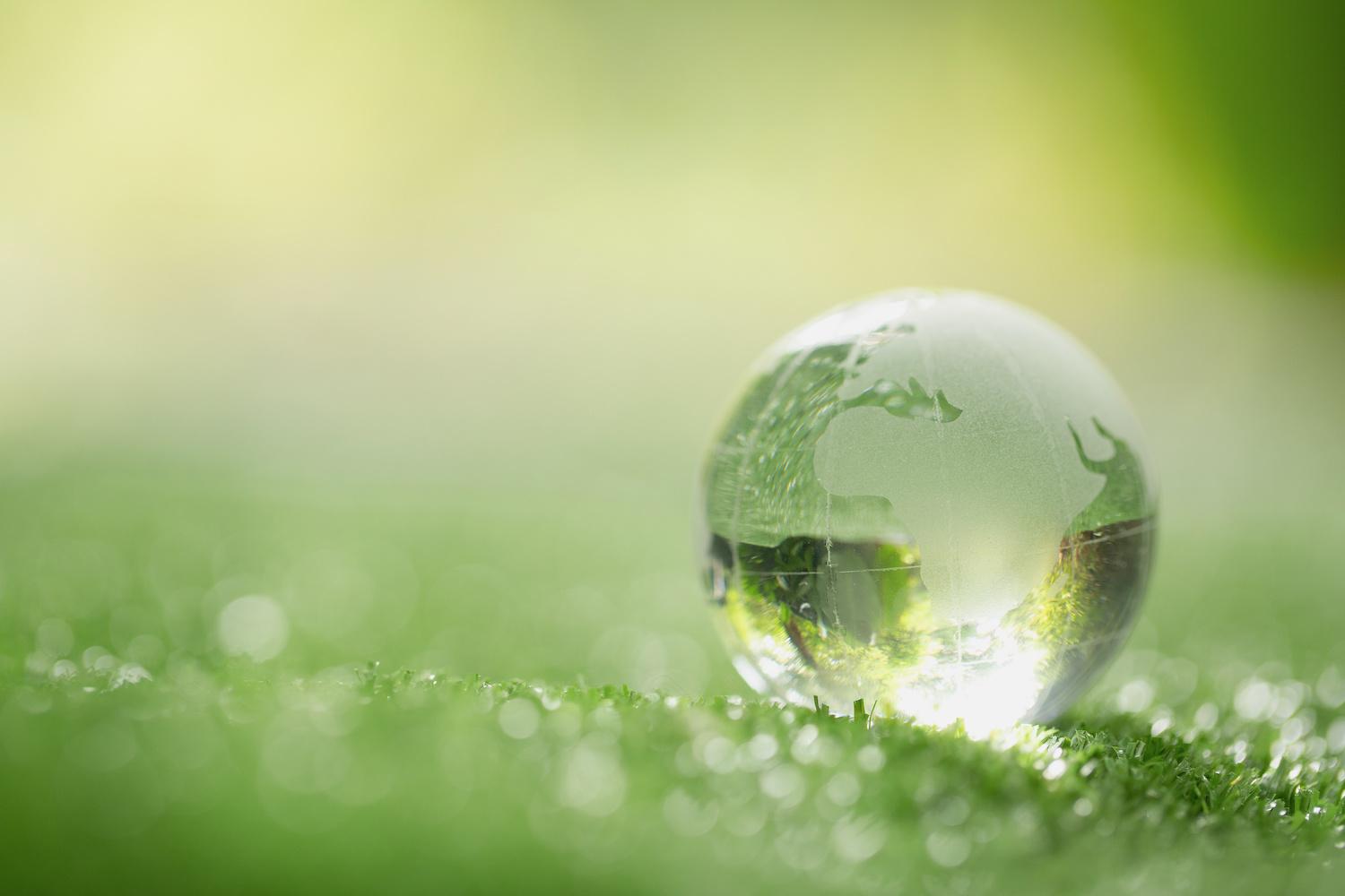 Glass Globe on Leaf - representing sustainability and the circular economy.