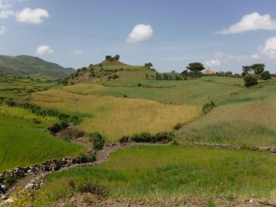 Ethiopias-farms-could-suffer-if-forecasts-about-long-term-precipitation-rates-prove-true.jpg