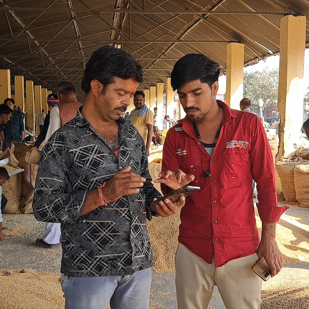 farmers in india use gramhal chatbot to view market data for crops 