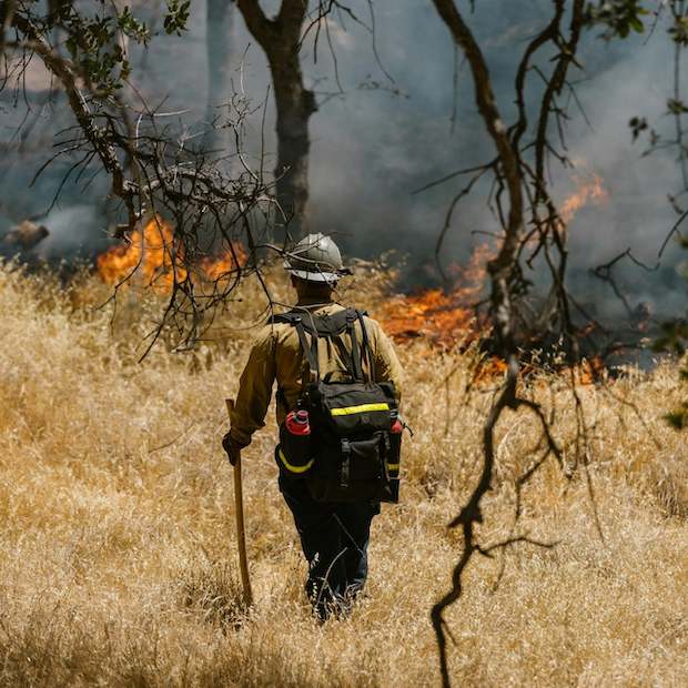 fireman fighting wildfires