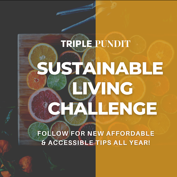 TriplePundit 2024 Sustainable Living Challenge