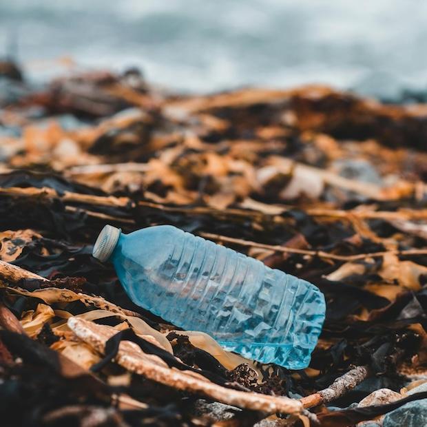plastic bottle litter