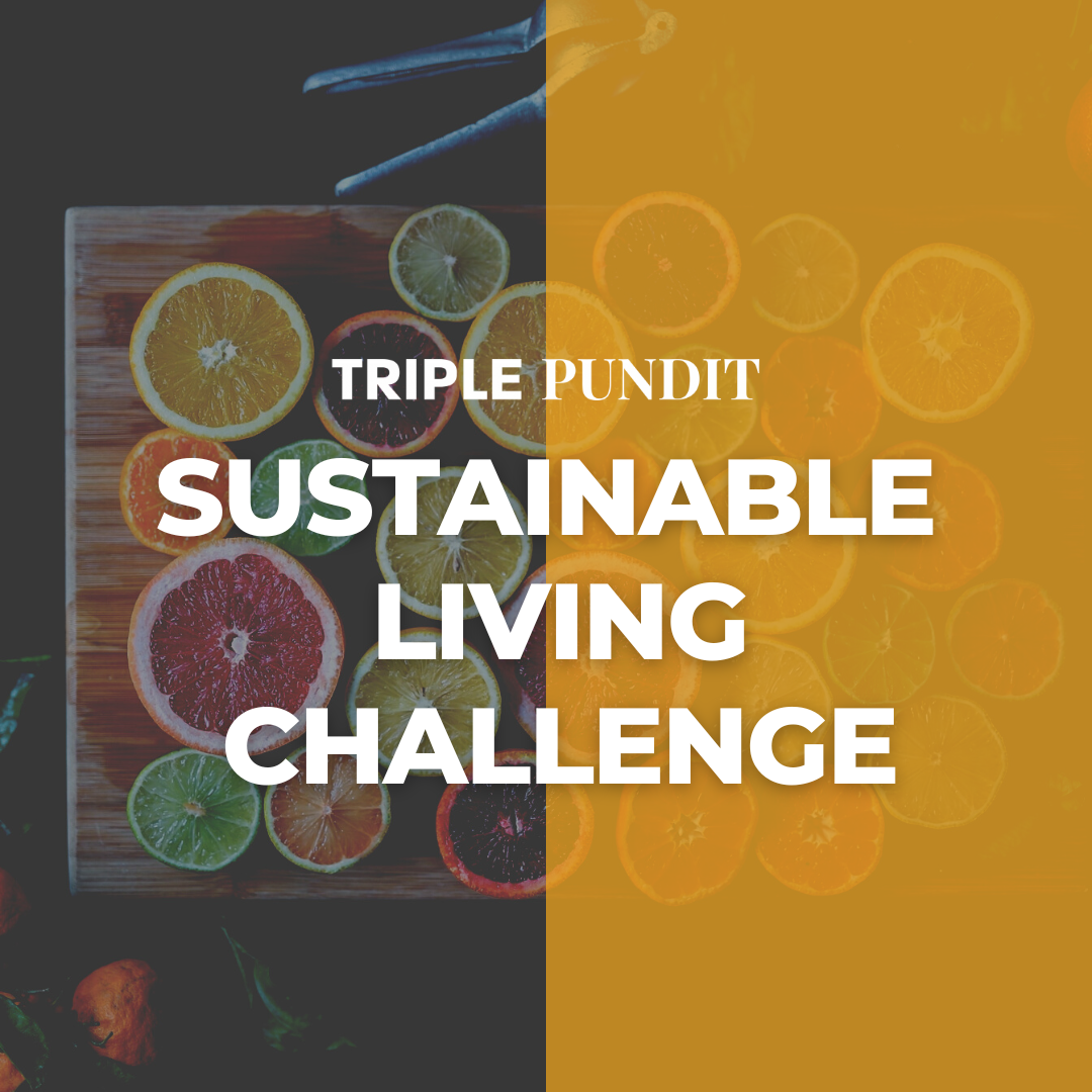 TriplePundit Sustainable Living Challenge - affordable ways to reduce environmental impact at home