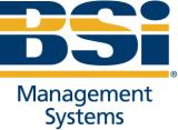 BSI Management Systems logo