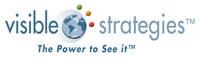 Visible Strategies logo
