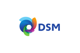 DSM logo