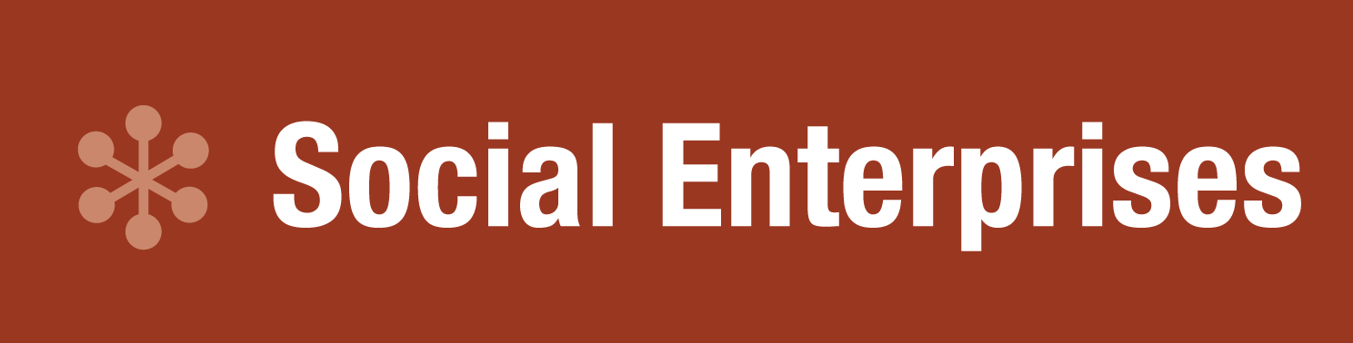 Social Enterprises, Inc. logo