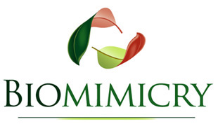 The Biomimicry Group logo