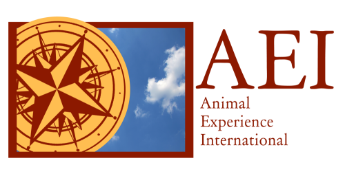 Animal Experience International logo