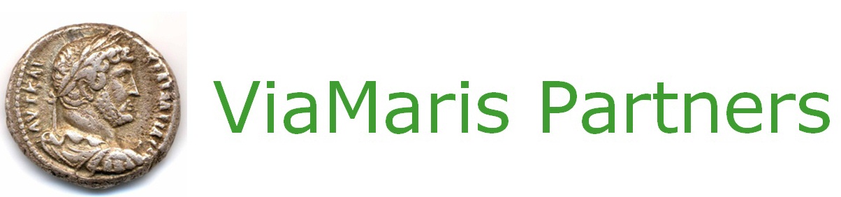 ViaMaris Partners LLC logo
