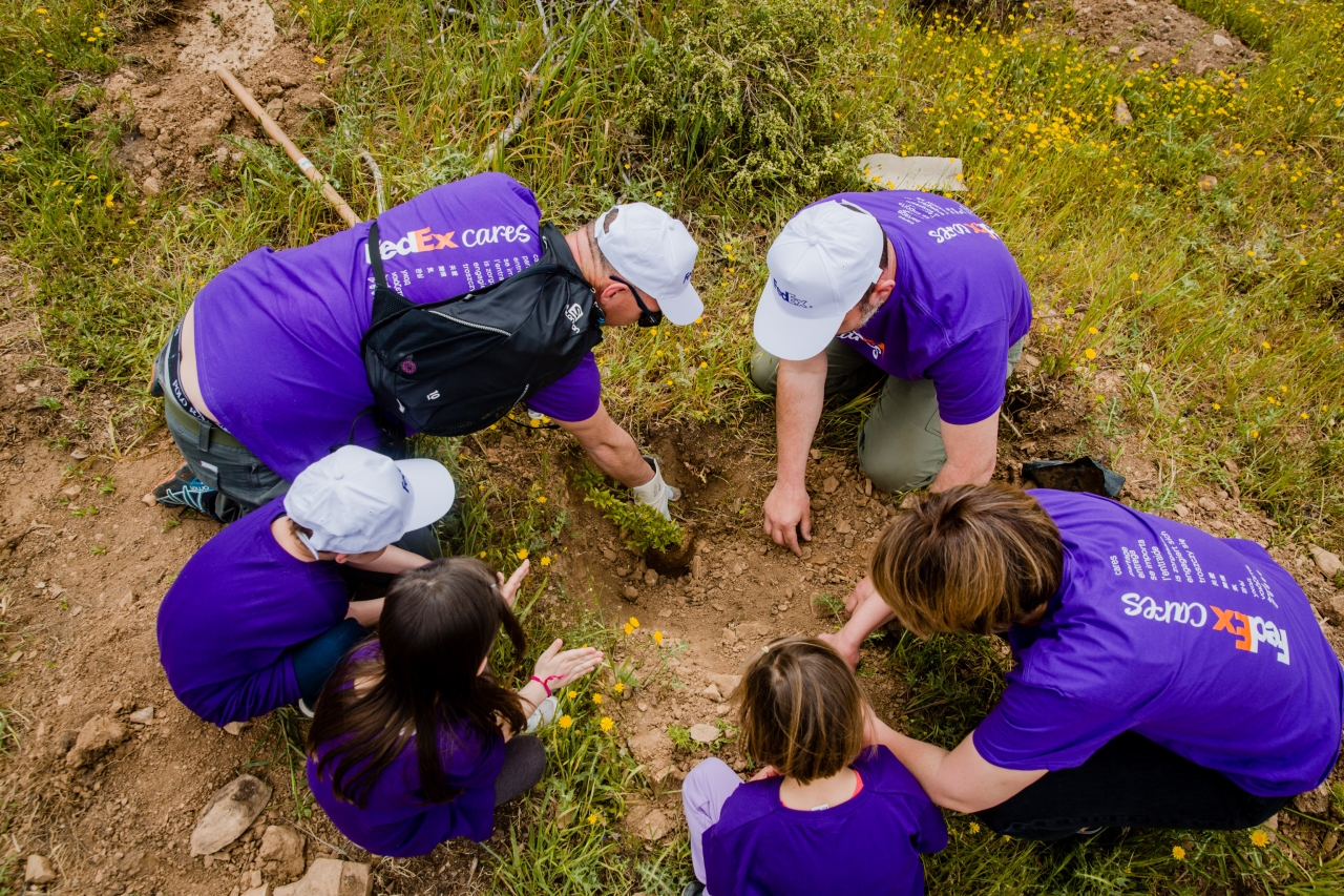 FedEx employees in Greece working together to plant trees