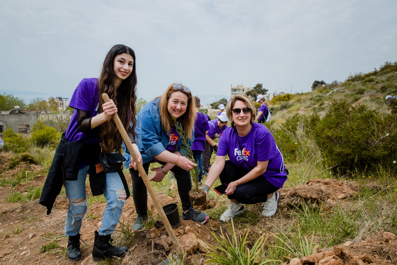 Three FedEx employees in Greece working together to plant a tree