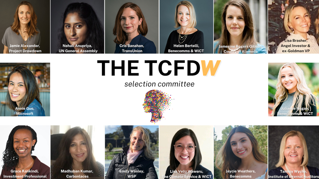 headshots of the TCFDW selection committee