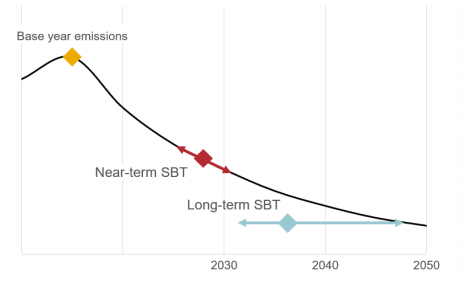 Figure 1: Near-term SBTs compared to long-term SBTs