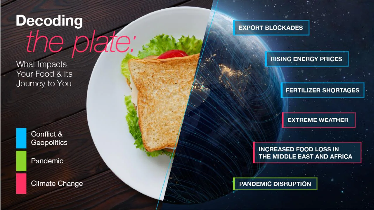 Decoding the plate - infographic showing how food prices are being affected