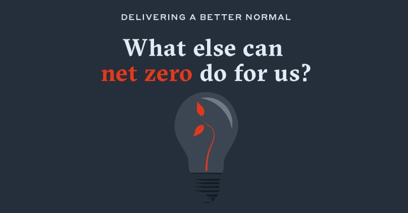 Image of lightbulb reading "what else can net zero do for us?"