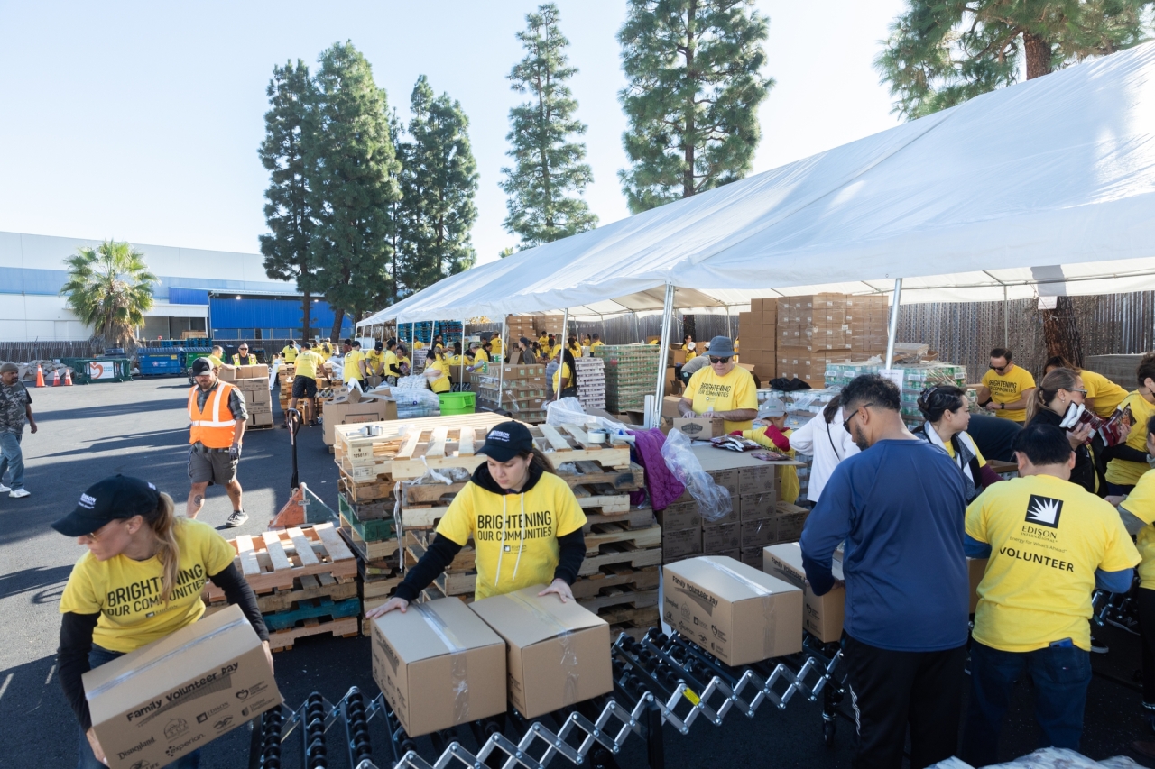 employees volunteering at the food bank