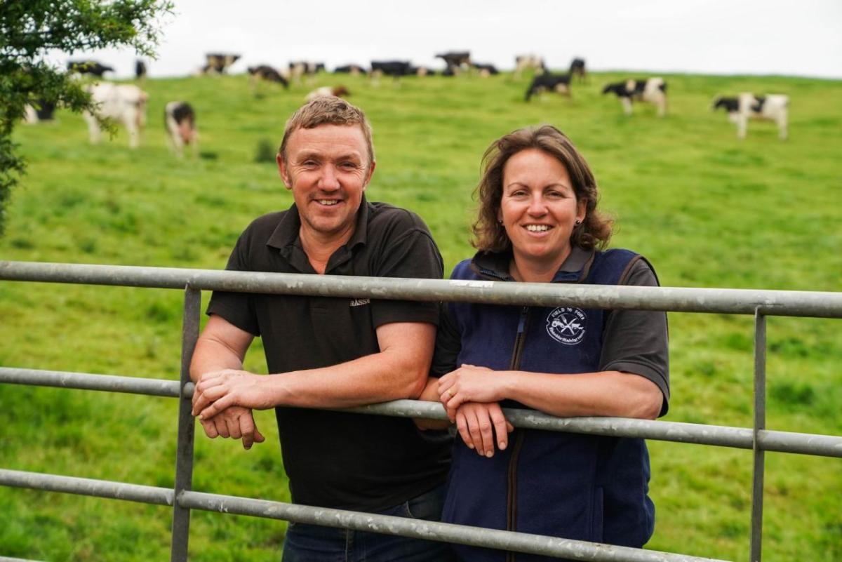 two people leaning against a fence with cows in the background