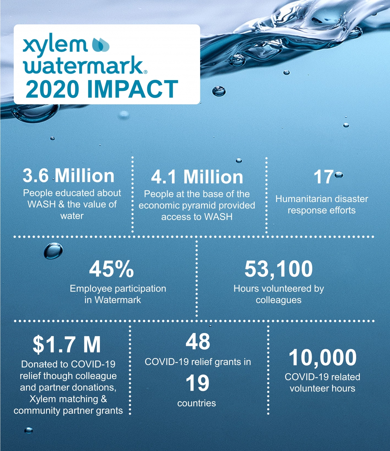 2020 Watermark Accomplishments Infographic