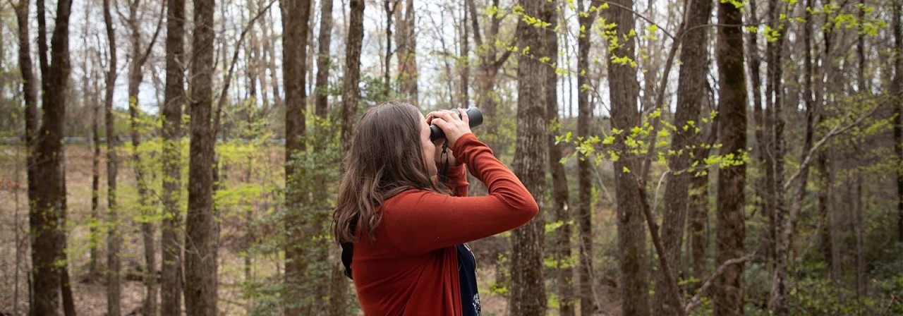 Audubon South Carolina’s Jennifer McCarthey Tyrrell, in orange sweater, looking through binoculars