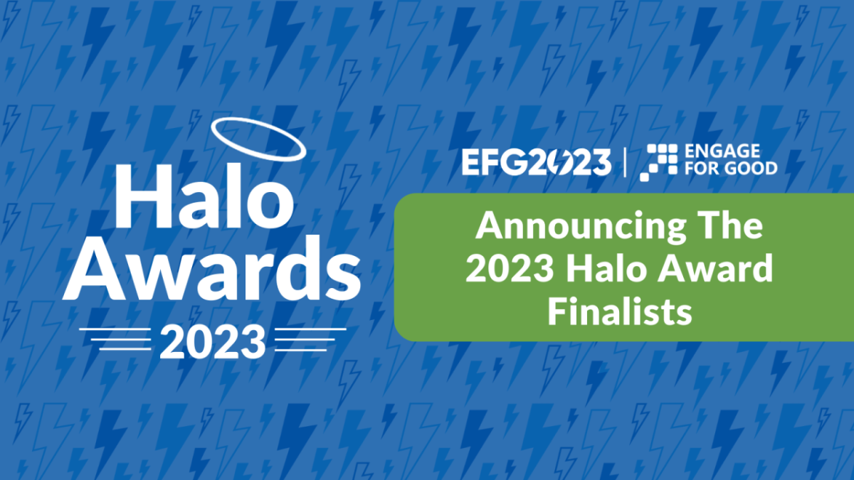 Halo awards 2023 finalists graphic
