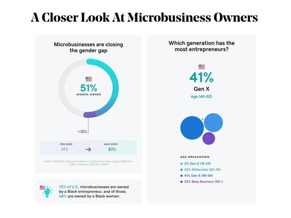 A chart showing a closer look at microbusiness owners. 