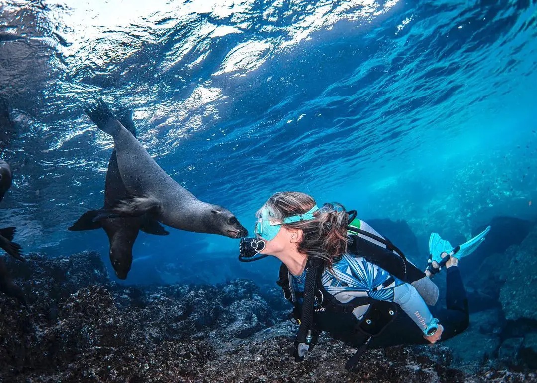 underwater shot of Gádor in scuba gear, nose to nose with a seal