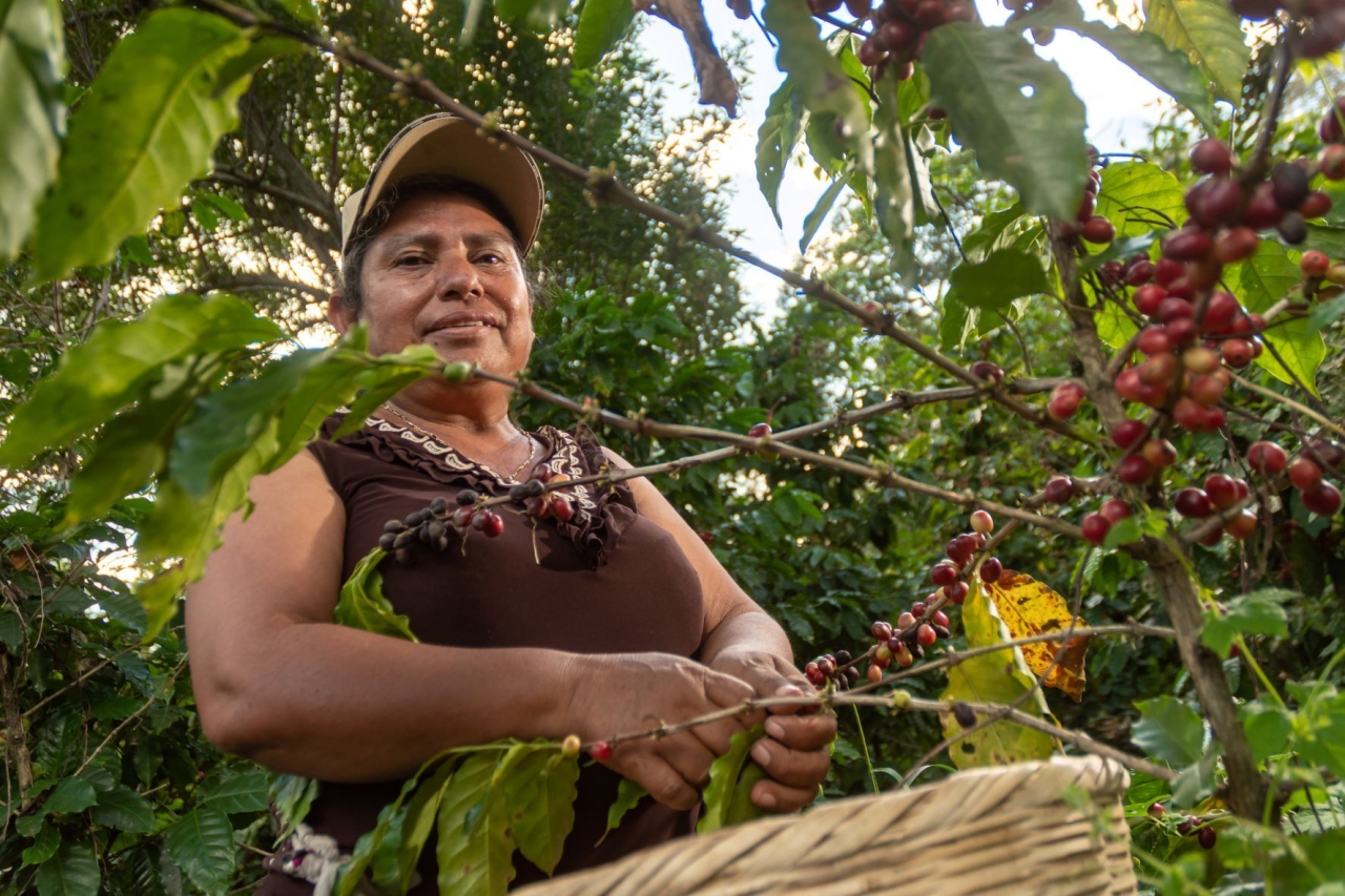 Coffee Farmer Ana María Gutierrez