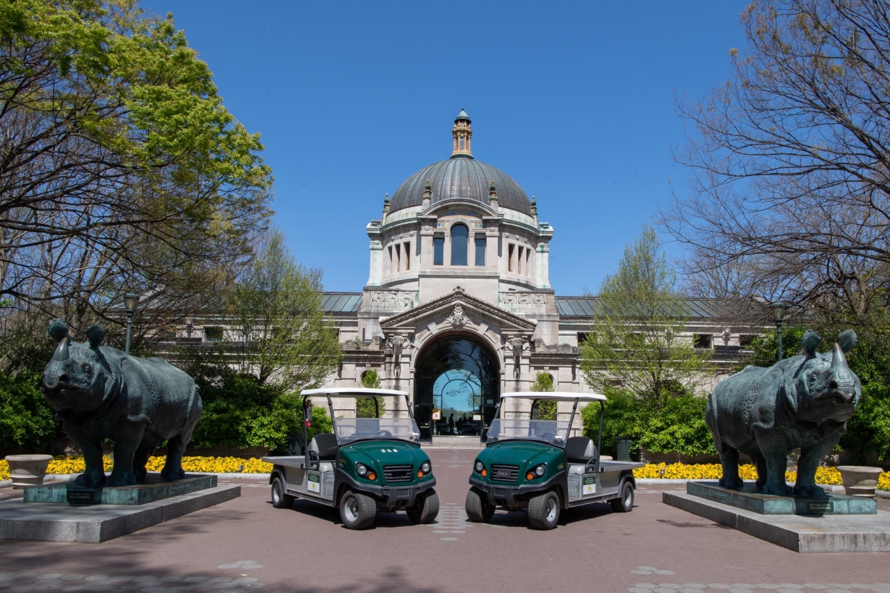 Two electric utility vehicles are parked in front of Bronx Zoo's Central Building on a sunny day. Flanking the vehicles are two animal statues.