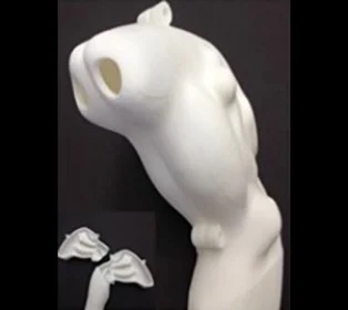 3DT created nasal cast