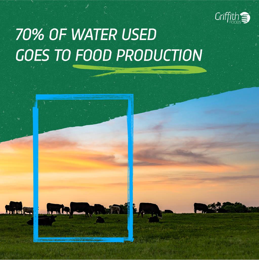 70% of water used goes to food production