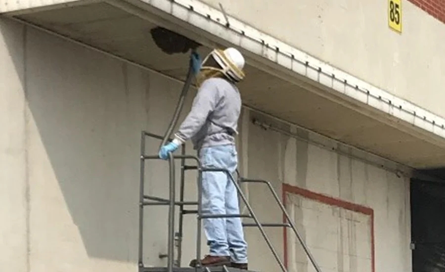 person on scaffolding examining a beehive