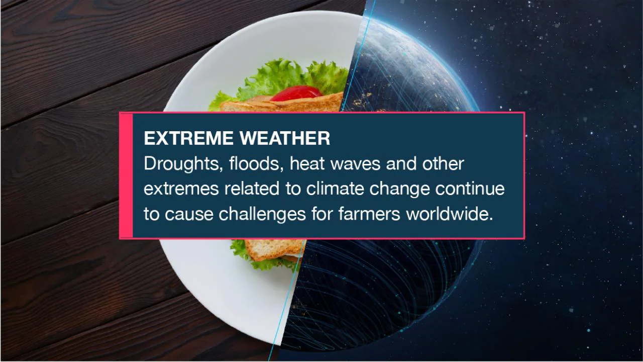 EXTREME WEATHER  Droughts, floods, heat waves and other extremes related to climate change continue to cause challenges for farmers worldwide. 