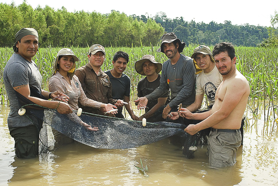 The team from The Center for Scientific Innovation in the Amazon (CINCIA) and FZS Peru doing a mercury sampling, having joined forces to conduct studies on mercury contamination in the Manu National Park (PN), in the Madre de Dios region. Photo: The Peru Program of Frankfurt Zoological Society.