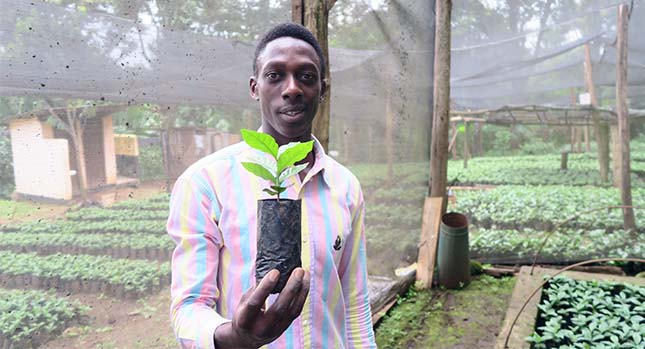 person holding a sprouting plant in a netted greenhouse full of rows of other sprouting plants