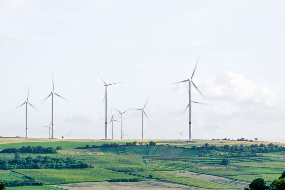 windmills in a field