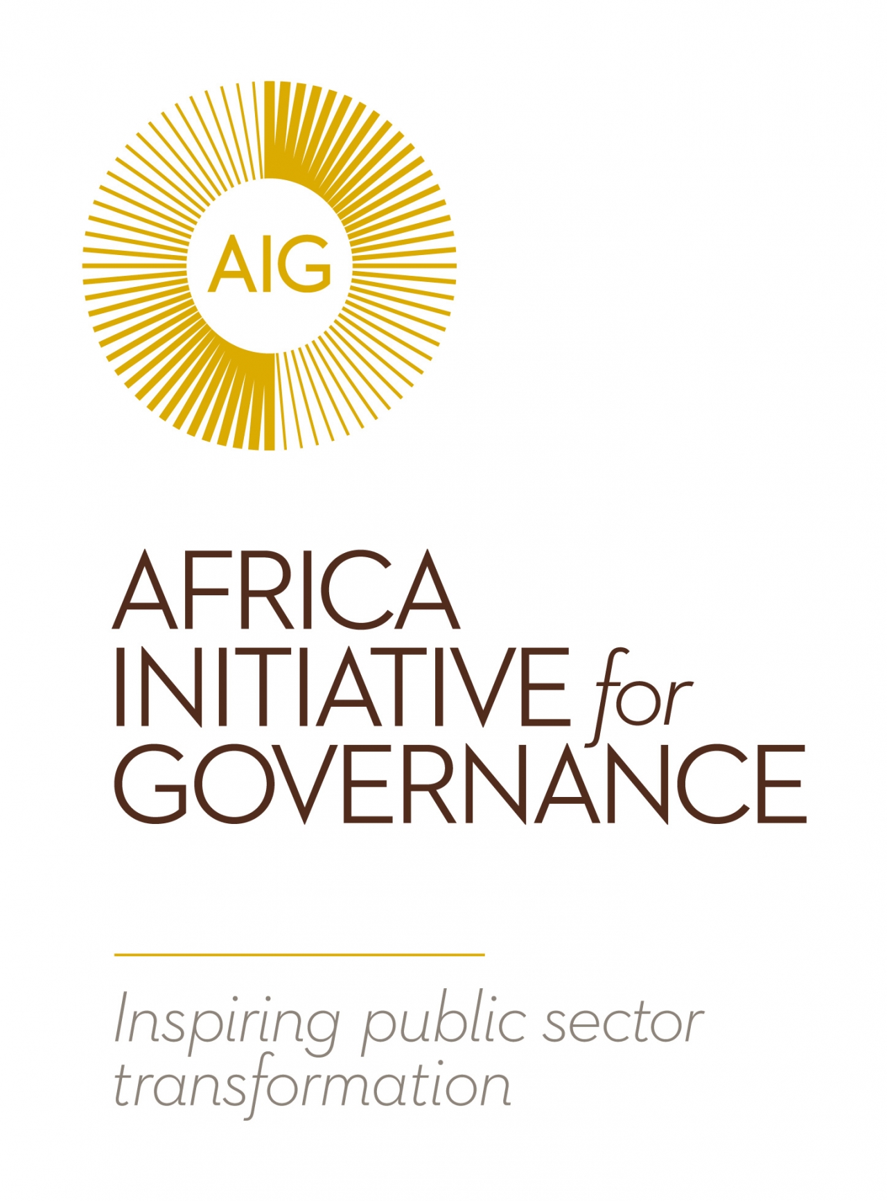 AIG Logo